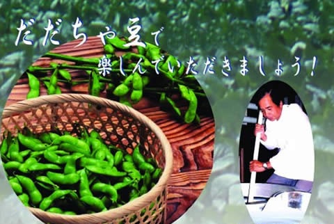 だだちゃ豆発祥の地、白山地区の白山だだちゃ豆