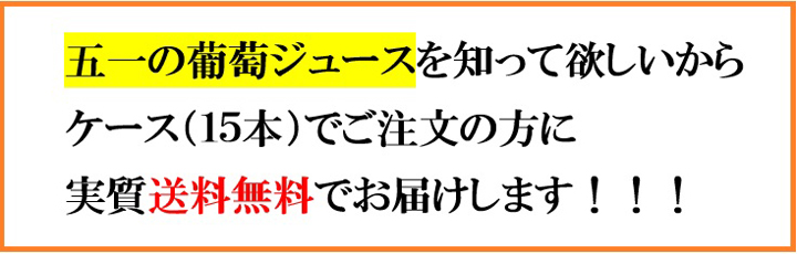 五一 ケース