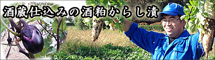 一ノ蔵酒粕からし漬