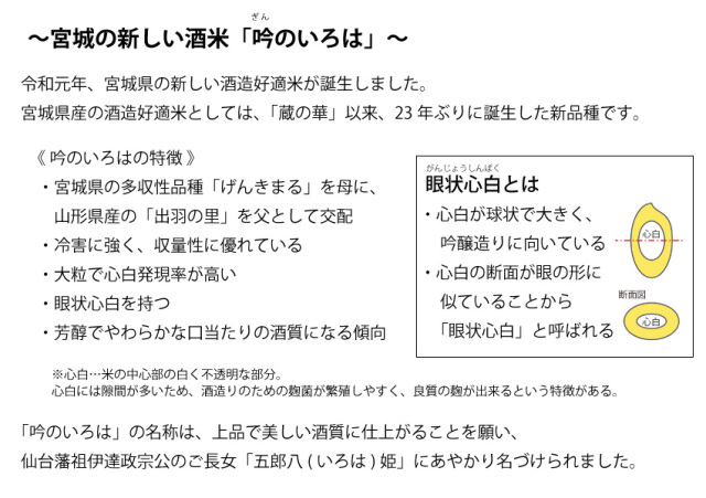 宮城県酒造好適米「吟のいろは」