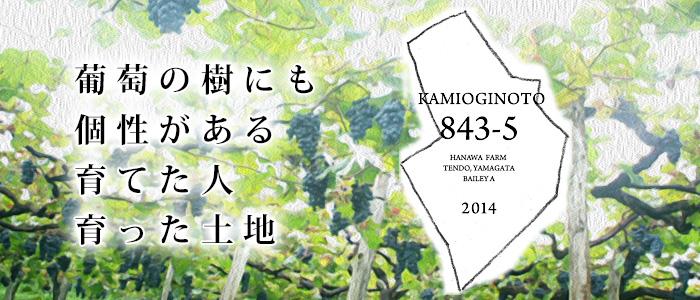 タケダワイナリーKAMIOGINOTO（かみおぎのと）843-5