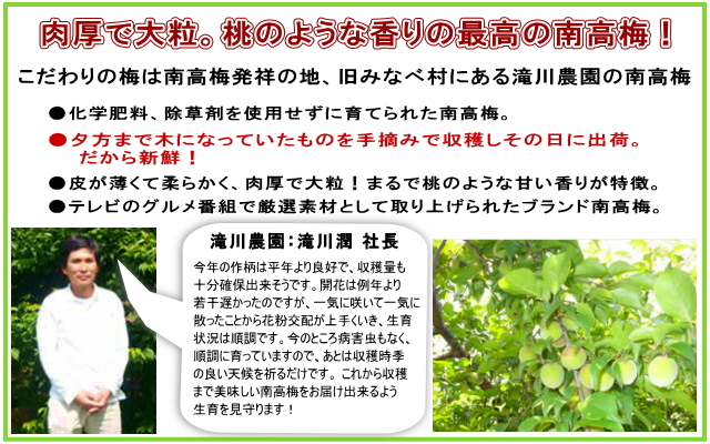 こだわりの梅は、「南高梅発祥の地」、旧みなべ村にある滝川農園の南高梅。◆化学肥料、除草剤は使用せずに育てられた南高梅。◆完熟直前の梅を手摘みで収穫しその日に出荷。だから新鮮!◆梅の大きさは3L-4Lのビッグサイズ。桃のような甘い香りが特徴。◆2002年の7月放送の「どっちの料理SHOW」でも取り上げられたブランド南高梅。
